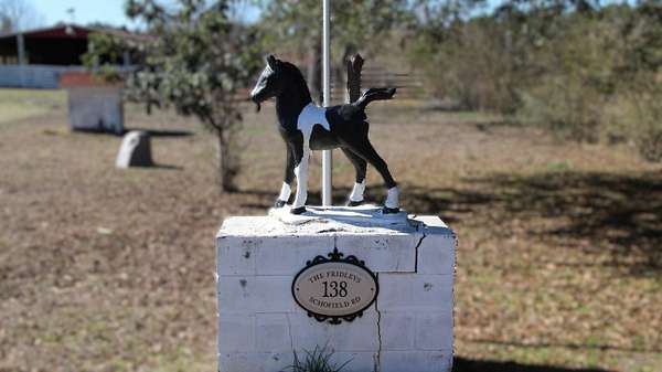 9.6 Acres of Residential Land with Home for Sale in DeFuniak Springs, Florida