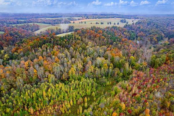 12.5 Acres of Recreational Land for Sale in Iron City, Tennessee