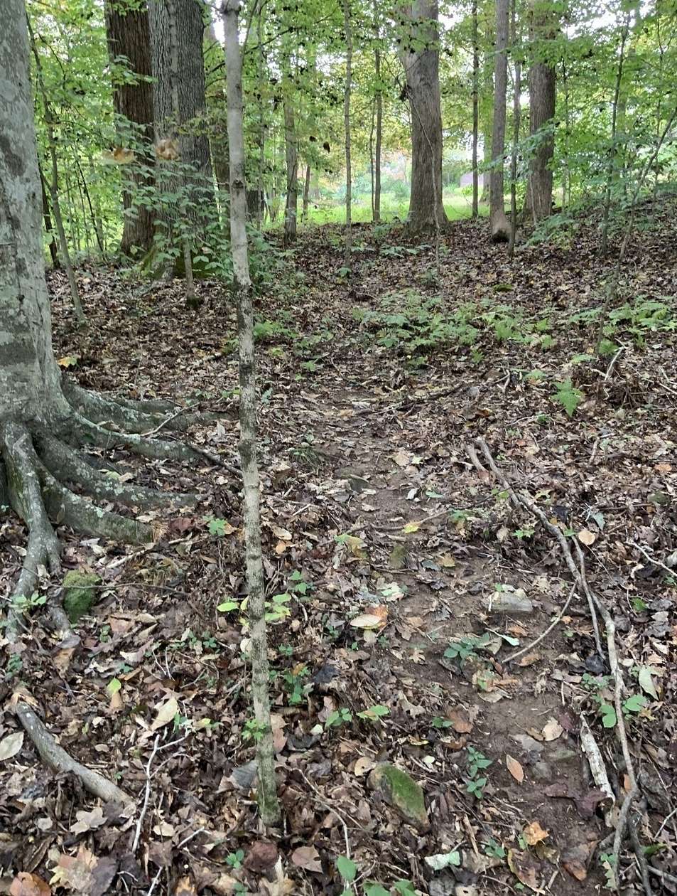 0.18 Acres of Residential Land for Sale in Dover, Tennessee