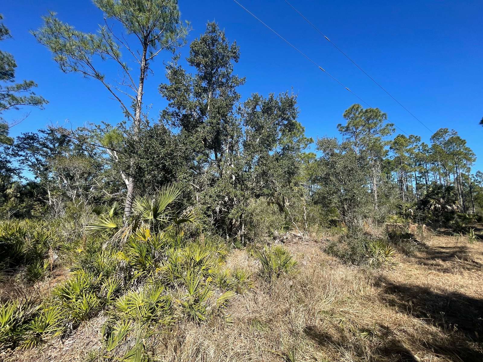 16 Acres of Recreational Land for Sale in Perry, Florida