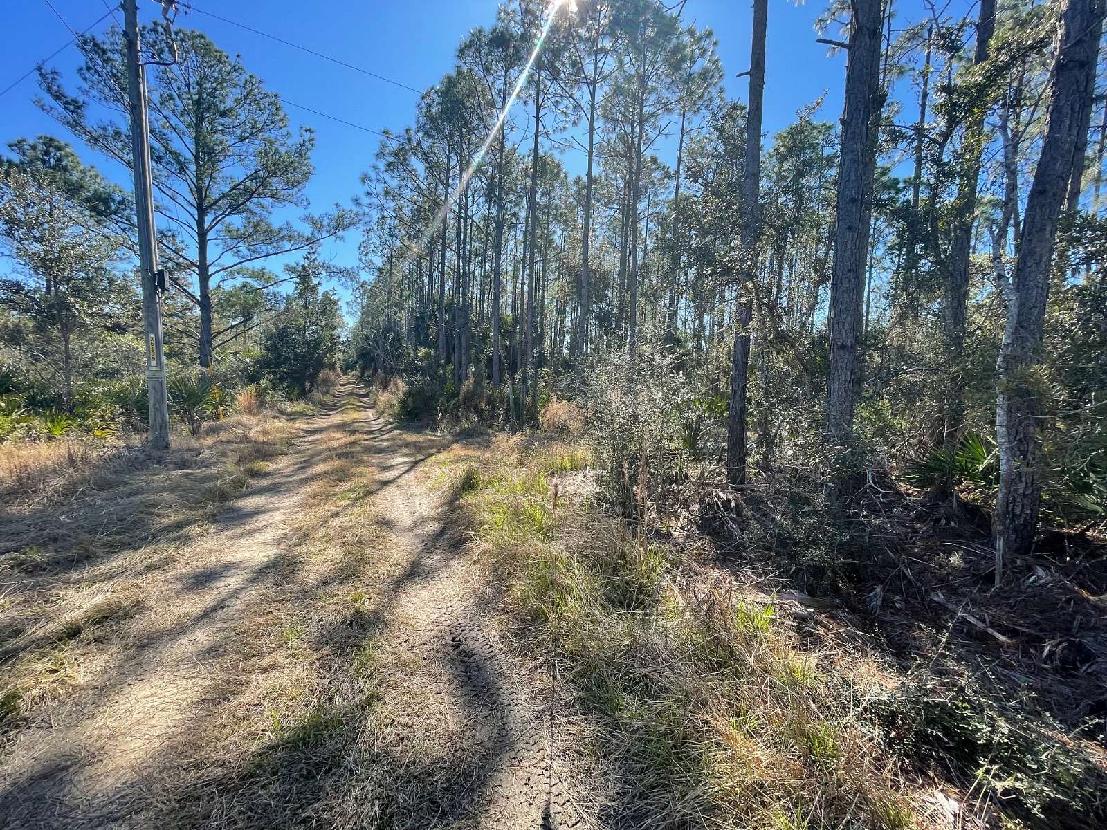 16 Acres of Recreational Land for Sale in Perry, Florida