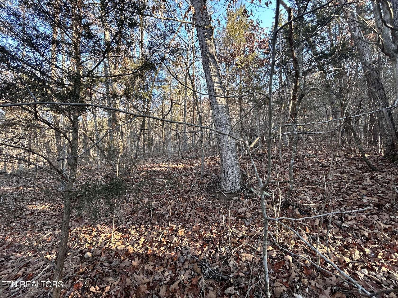 5 Acres of Land for Sale in Talbott, Tennessee