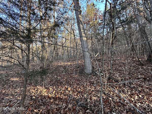 5 Acres of Land for Sale in Talbott, Tennessee