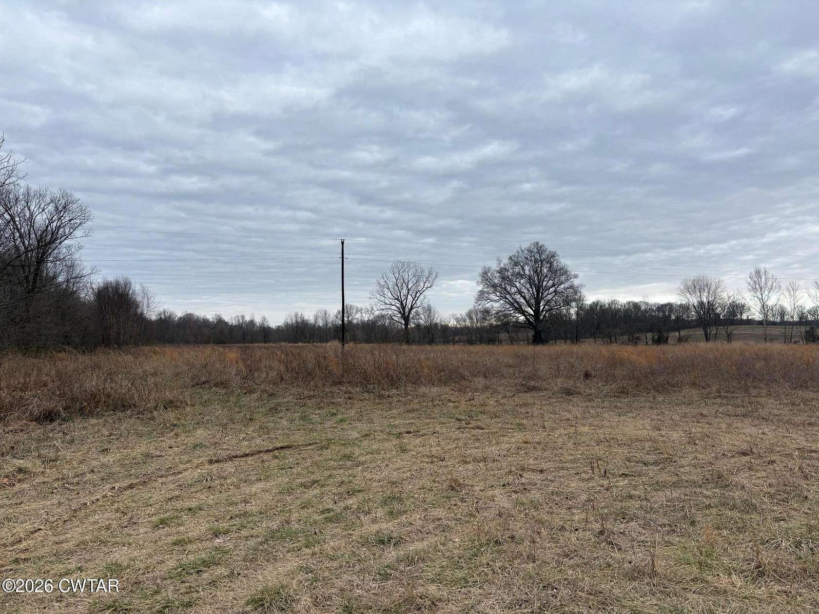 160 Acres of Land for Sale in Brownsville, Tennessee
