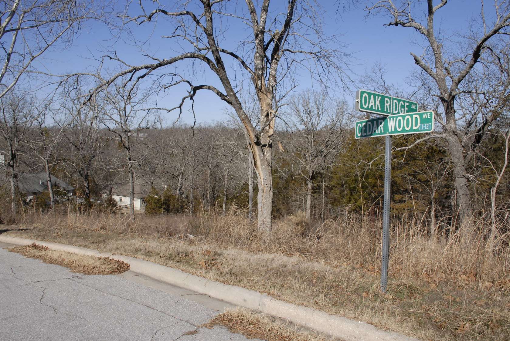 0.5 Acres of Residential Land for Sale in Branson, Missouri