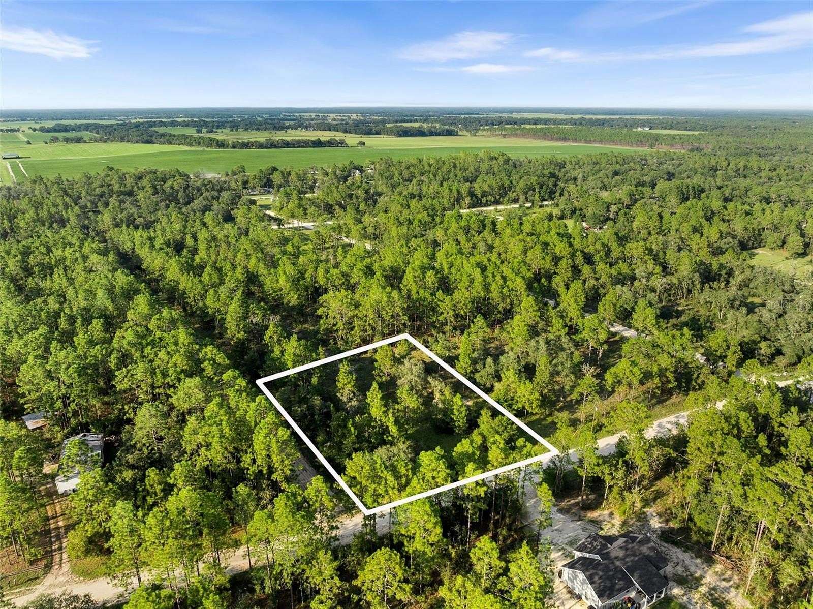1 Acre of Residential Land for Sale in Williston, Florida