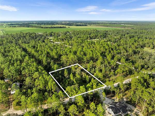 1 Acre of Residential Land for Sale in Williston, Florida