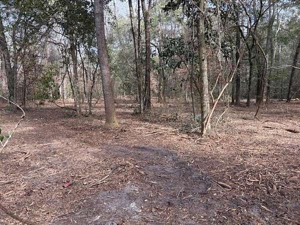 0.87 Acres of Residential Land for Sale in Crawfordville, Florida