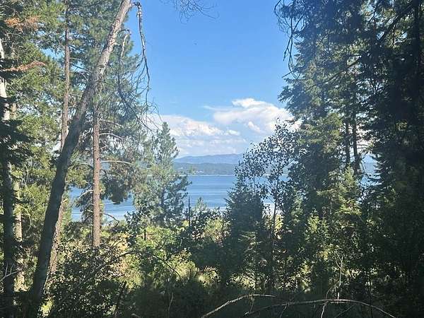 0.99 Acres of Land for Sale in Donnelly, Idaho