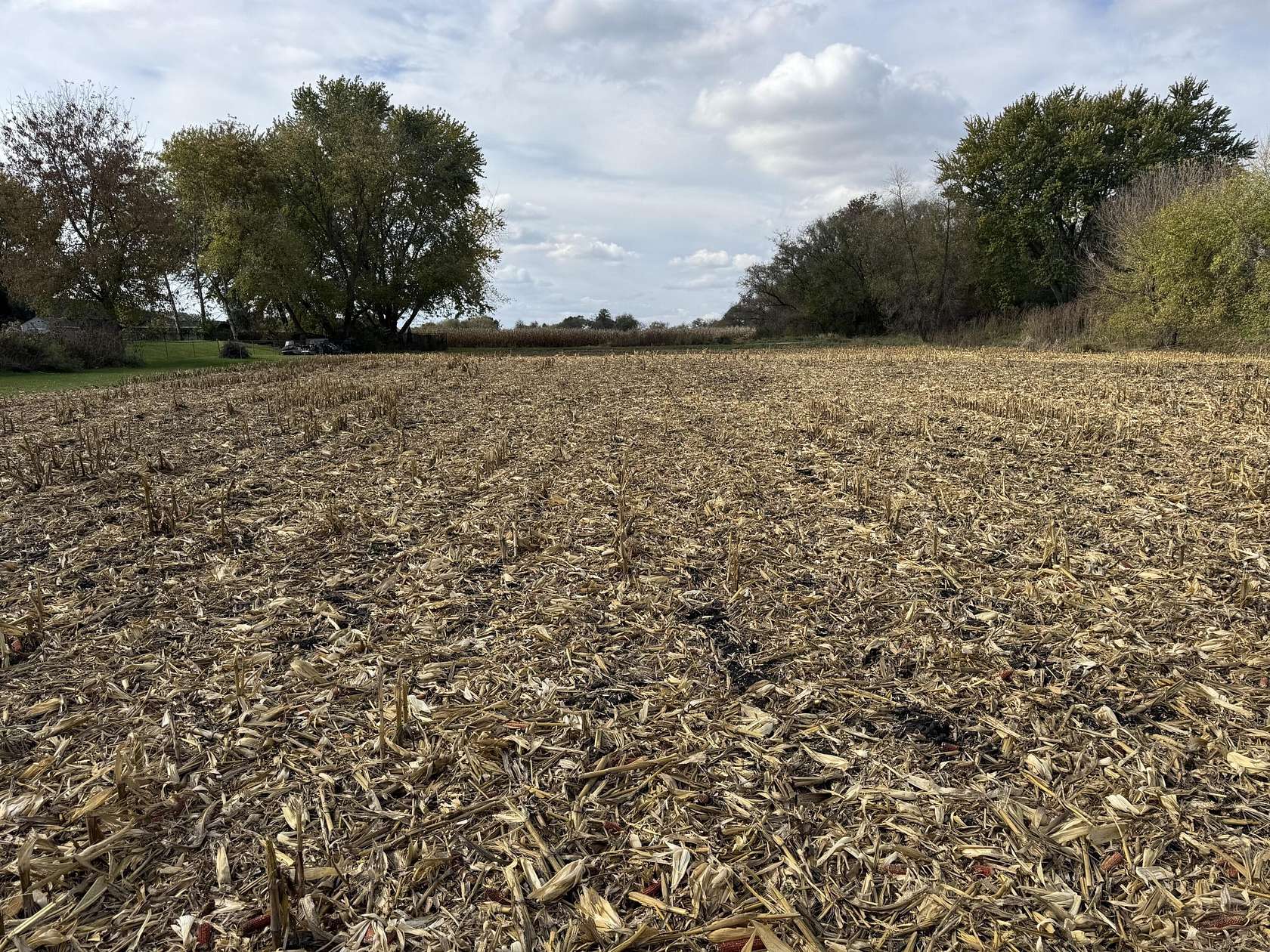 1 Acre of Residential Land for Sale in Big Bend, Wisconsin