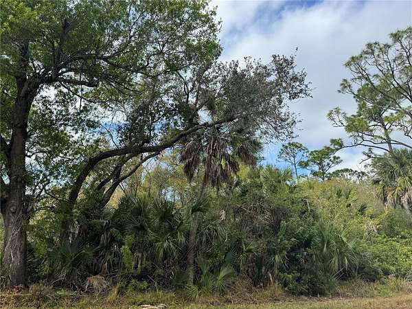 0.23 Acres of Residential Land for Sale in Punta Gorda, Florida