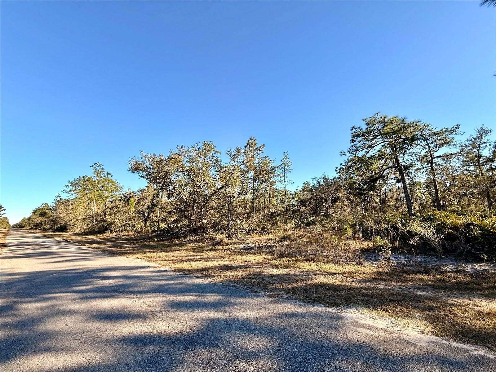 1 Acre of Residential Land for Sale in Indian Lake Estates, Florida