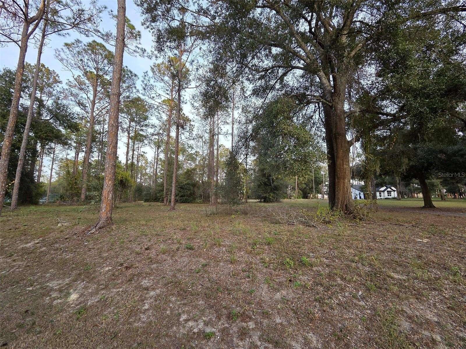 3.55 Acres of Residential Land for Sale in Groveland, Florida