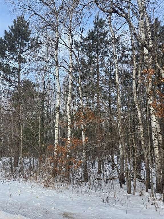 80 Acres of Recreational Land for Sale in Holcombe, Wisconsin