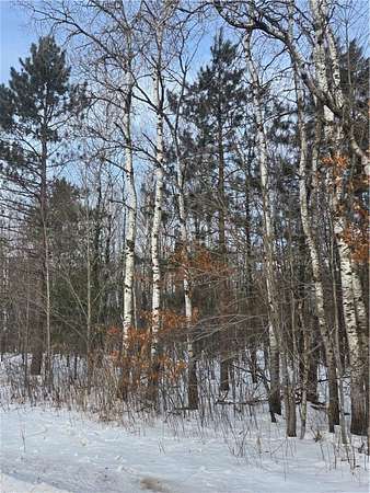 80 Acres of Recreational Land for Sale in Holcombe, Wisconsin