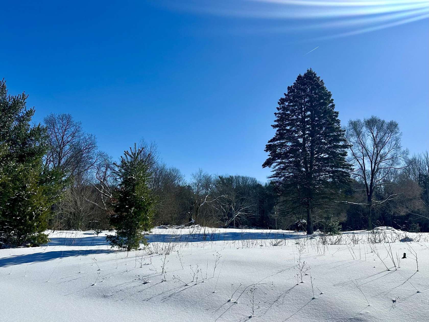 0.8 Acres of Residential Land for Sale in Saugatuck, Michigan