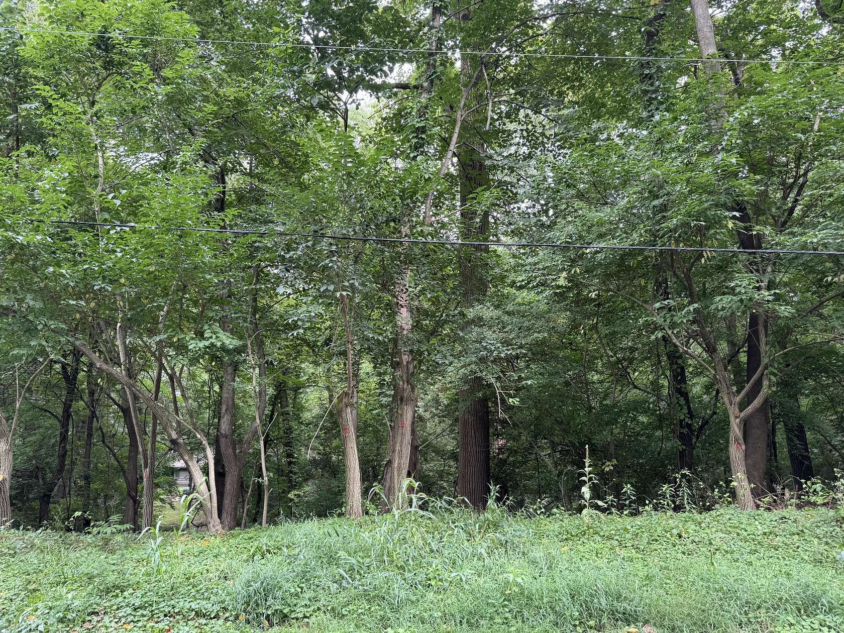 0.23 Acres of Residential Land for Sale in Michiana, Michigan