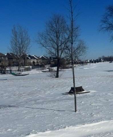 0.54 Acres of Residential Land for Sale in Manhattan, Illinois