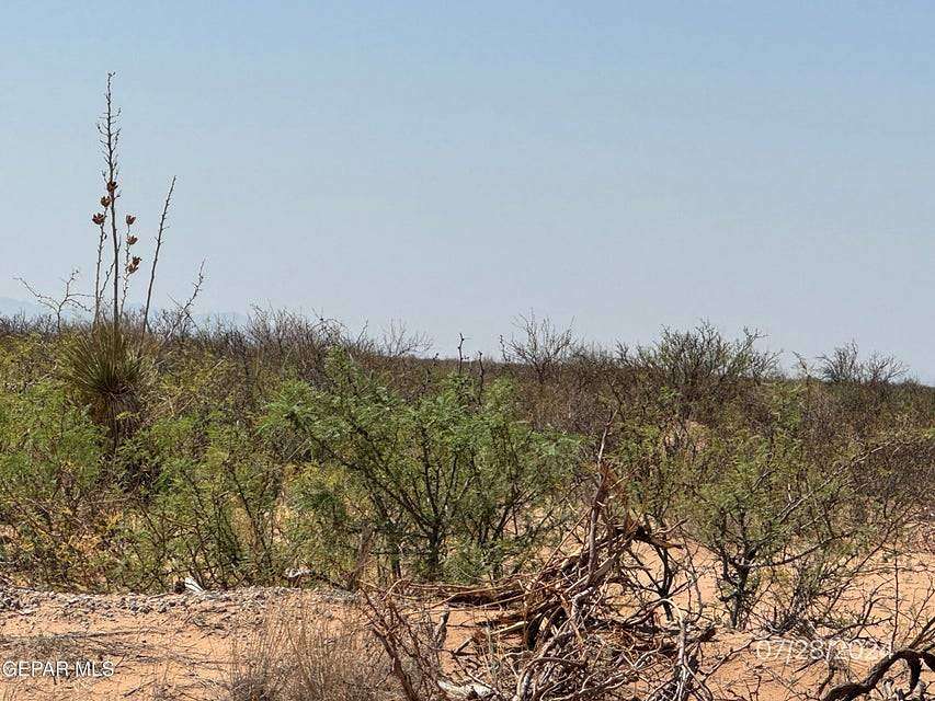 0.24 Acres of Land for Sale in El Paso, Texas