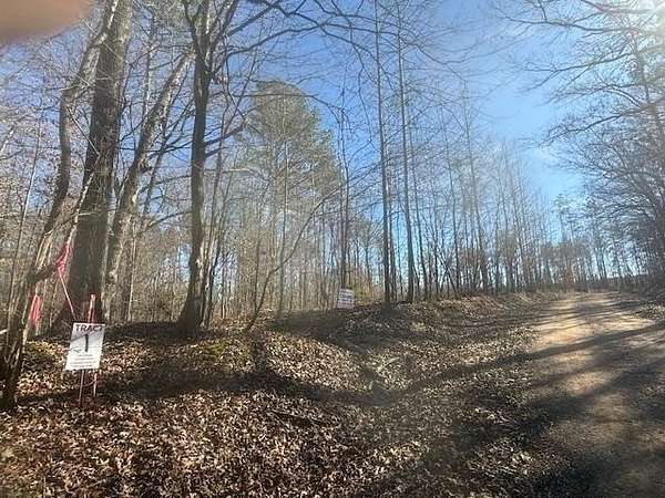 10 Acres of Recreational & Residential Land for Sale in Bolivar, Tennessee
