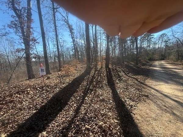 13 Acres of Recreational & Residential Land for Sale in Bolivar, Tennessee