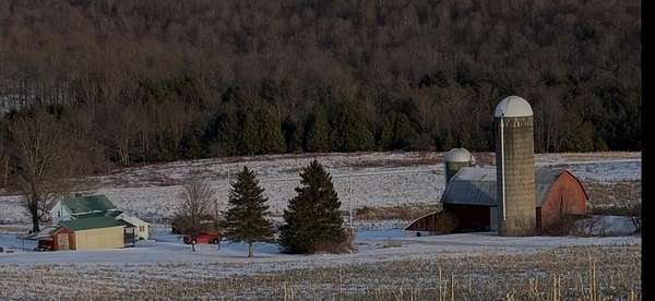 153 Acres of Recreational Land with Home for Sale in Genesee, Pennsylvania