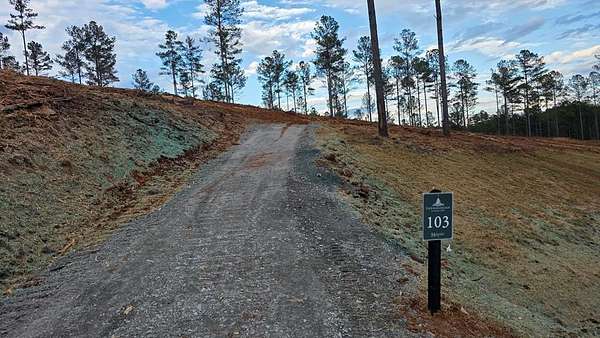 2 Acres of Residential Land for Sale in Ellijay, Georgia