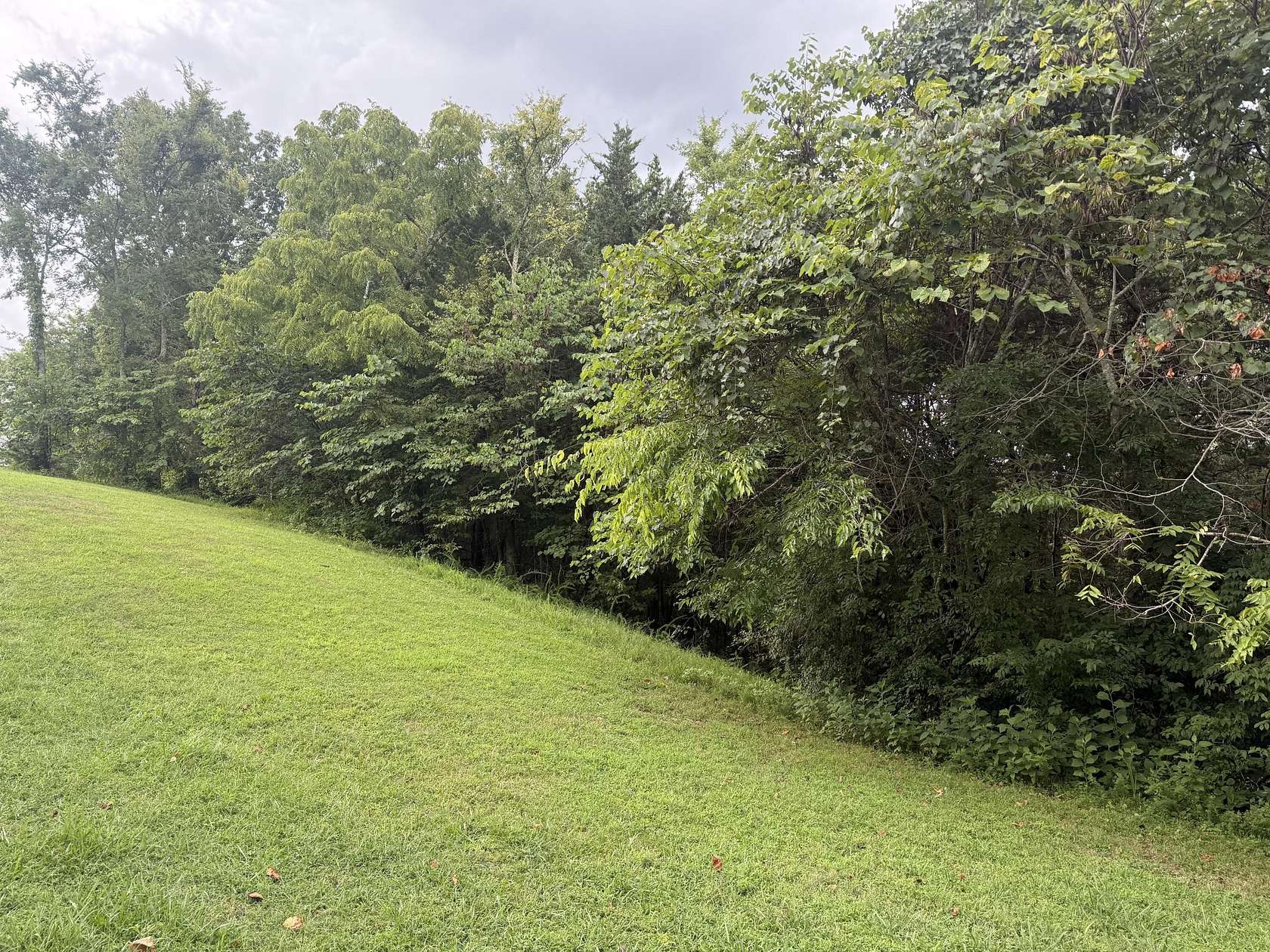 0.19 Acres of Residential Land for Sale in Newport, Tennessee