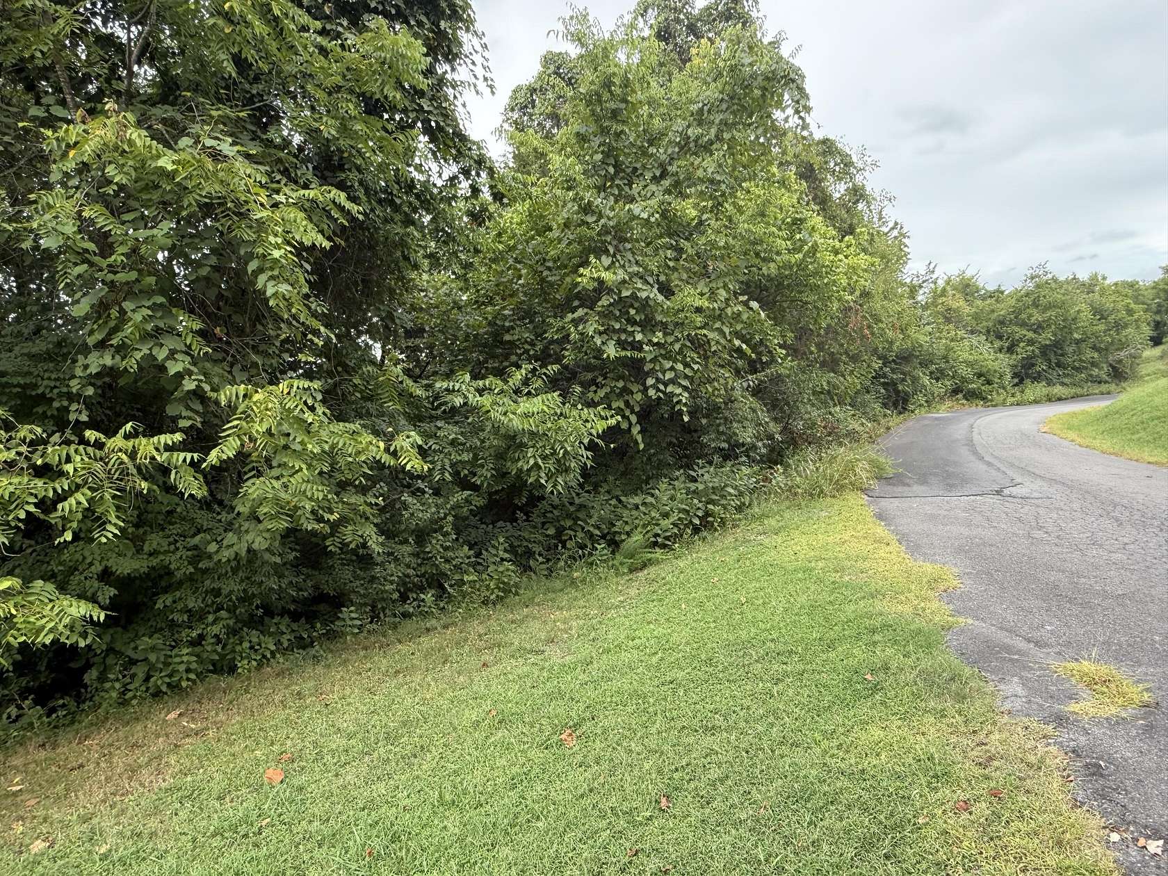 0.19 Acres of Residential Land for Sale in Newport, Tennessee