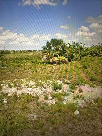 0.31 Acres of Residential Land for Sale in LaBelle, Florida