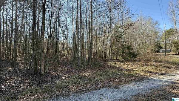 1 Acre of Residential Land for Sale in Calera, Alabama