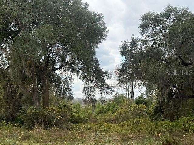 0.59 Acres of Residential Land for Sale in Silver Springs, Florida