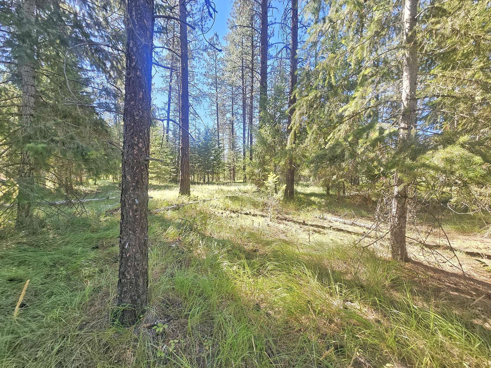 0.35 Acres of Residential Land for Sale in Chewelah, Washington