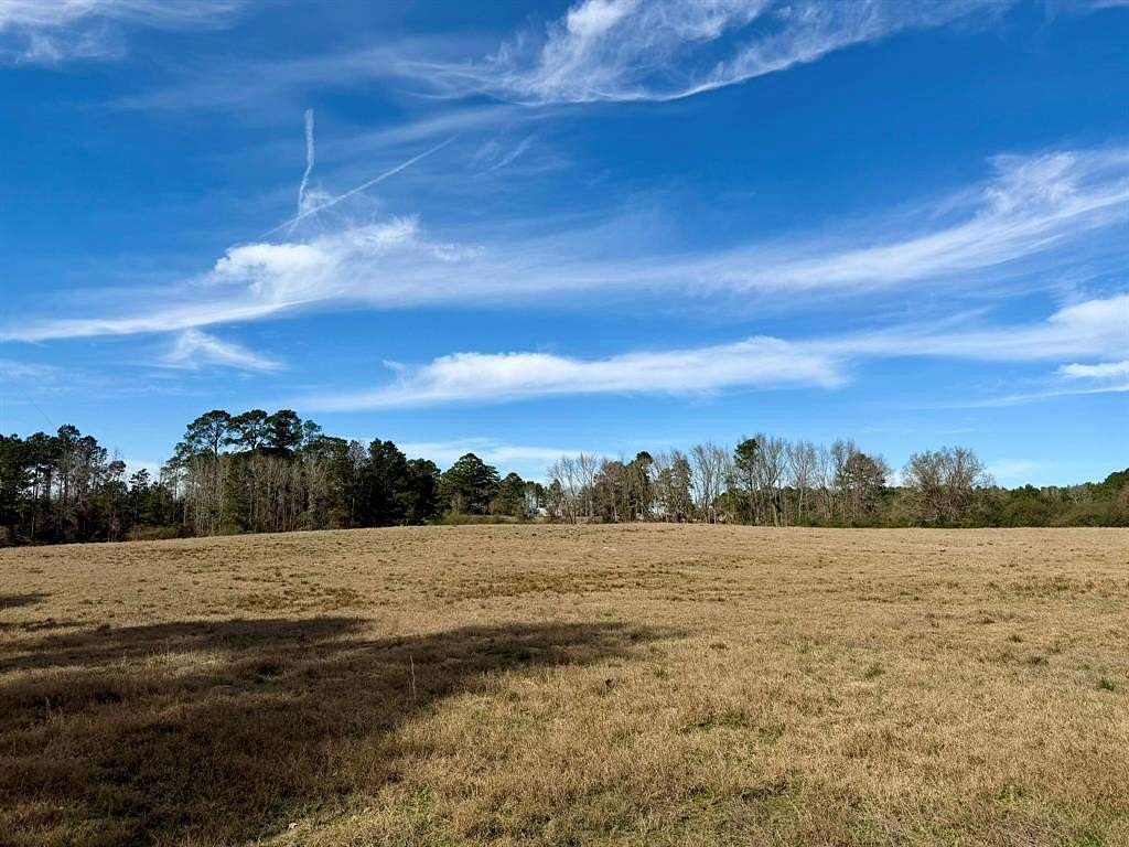 20 Acres of Land for Sale in Coushatta, Louisiana