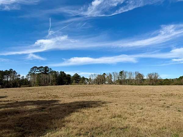 20 Acres of Land for Sale in Coushatta, Louisiana