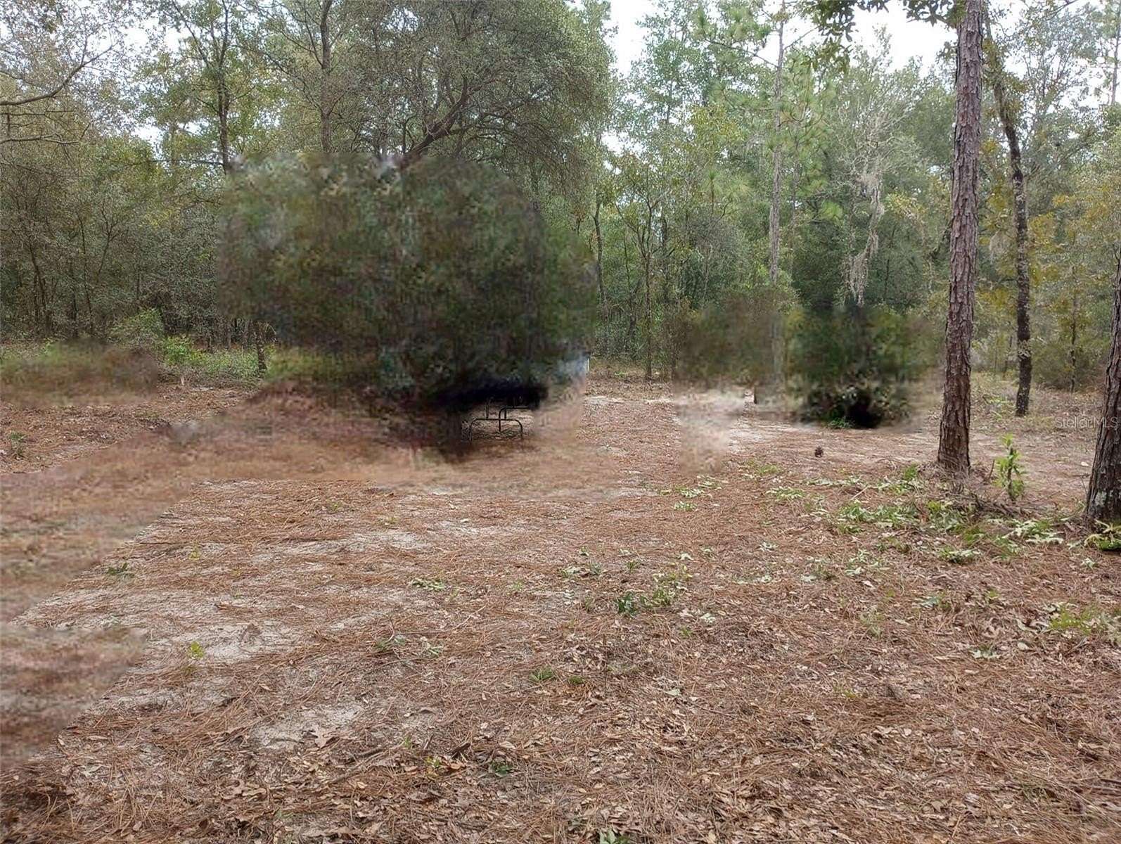 0.9 Acres of Residential Land for Sale in Bronson, Florida