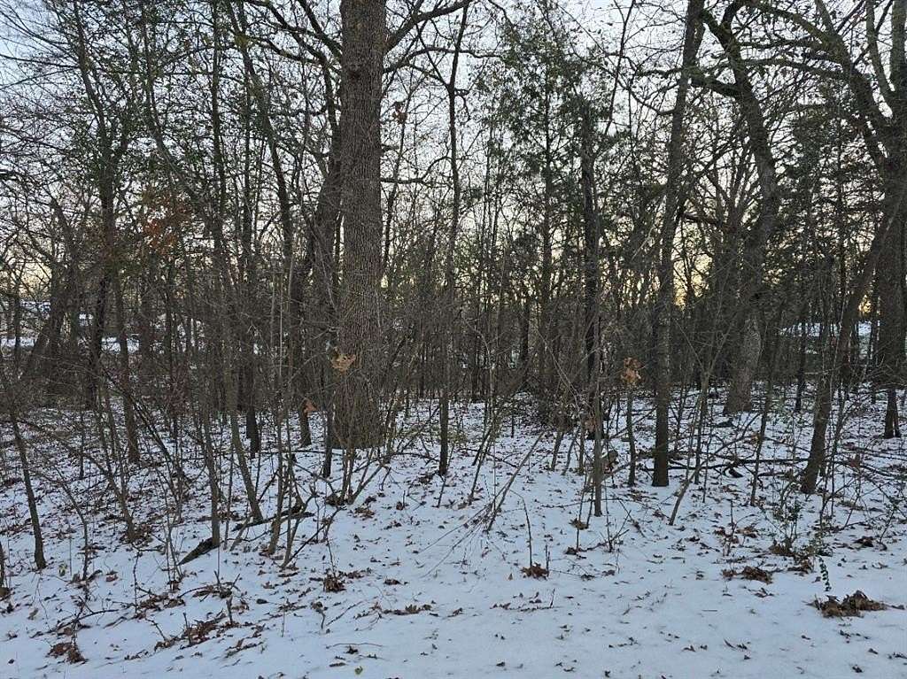 0.12 Acres of Residential Land for Sale in Gun Barrel City, Texas