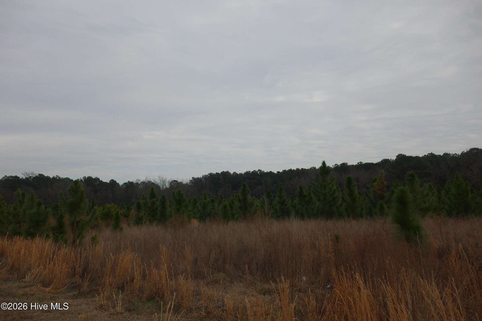 1.83 Acres of Residential Land for Sale in Fairmont, North Carolina