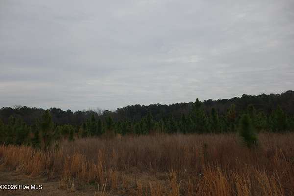 1.83 Acres of Residential Land for Sale in Fairmont, North Carolina