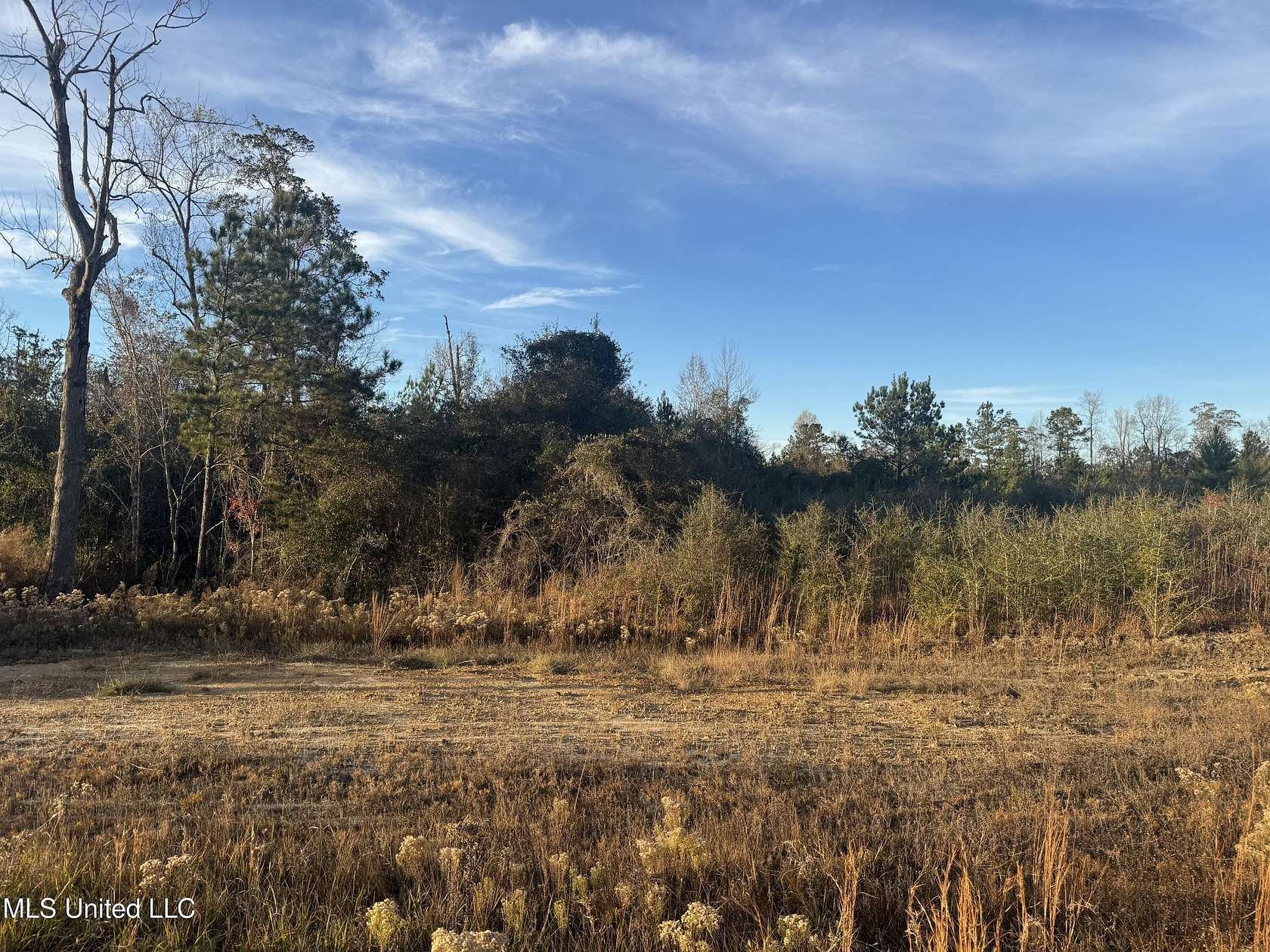 15.7 Acres of Recreational Land for Sale in McHenry, Mississippi