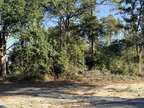0.12 Acres of Residential Land for Sale in Freeport, Florida