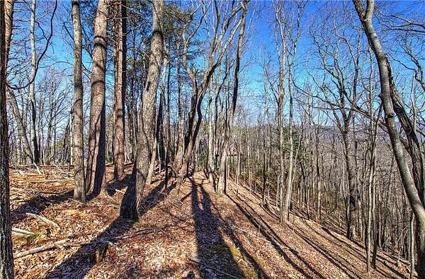 0.57 Acres of Residential Land for Sale in Ellijay, Georgia
