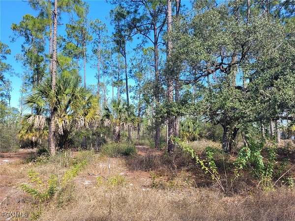 1.25 Acres of Land for Sale in LaBelle, Florida
