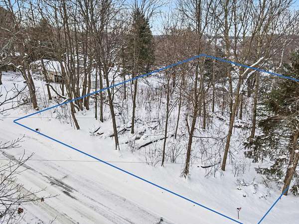 0.41 Acres of Residential Land for Sale in Delton, Michigan