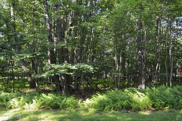 2.3 Acres of Residential Land for Sale in Lakeville, Pennsylvania