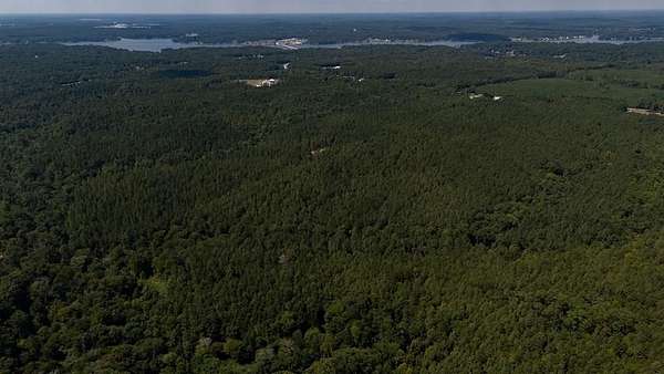 175 Acres of Recreational Land for Sale in Waterloo, South Carolina