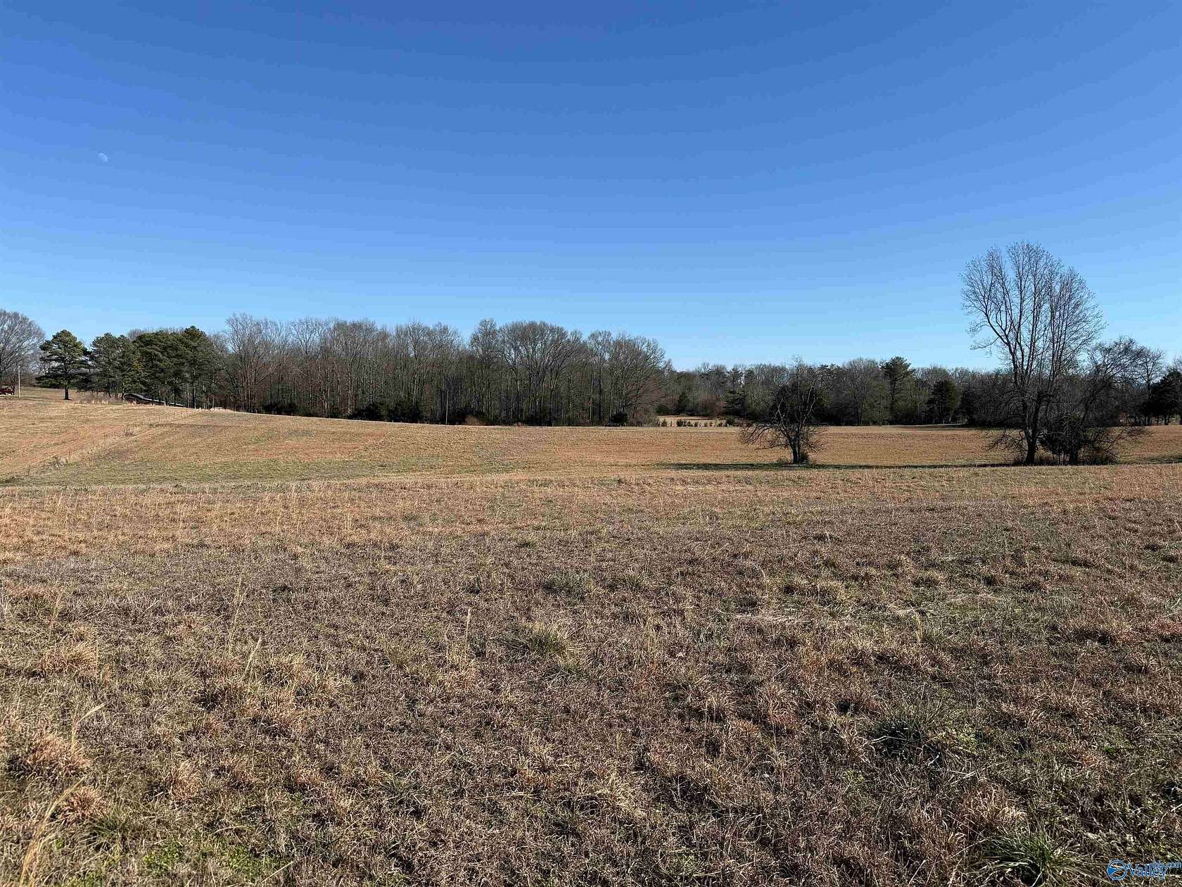 20 Acres of Recreational Land & Farm for Sale in Lester, Alabama