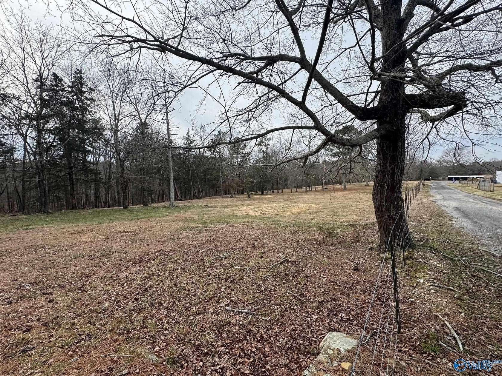 10.3 Acres of Land for Sale in Henagar, Alabama