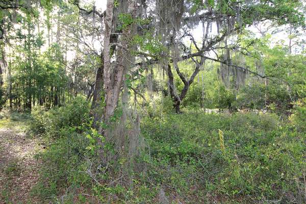 0.95 Acres of Land for Sale in Panacea, Florida
