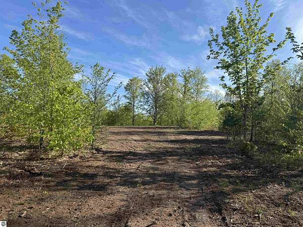 5 Acres of Land for Sale in Maple City, Michigan